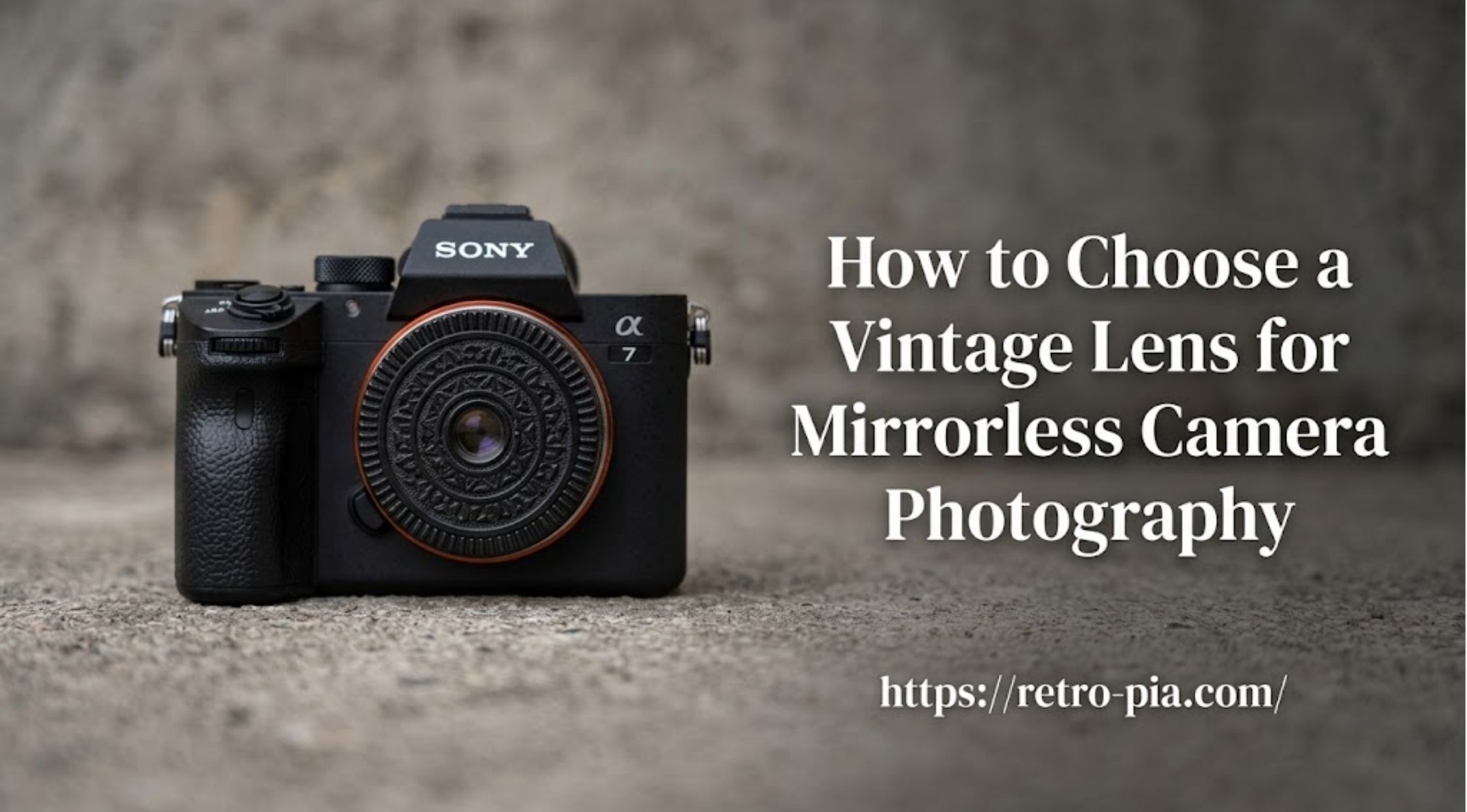 How to Choose a Vintage Lens for Mirrorless Camera Photography